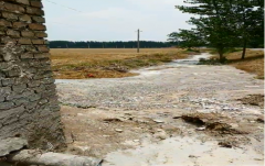 系到环保局丛队长